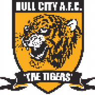 Hull City Fan